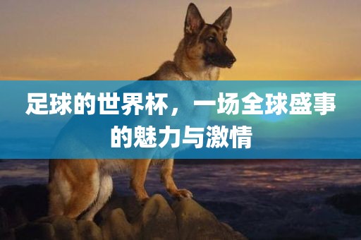 足球的世界杯，一场全球盛事的魅力与激情