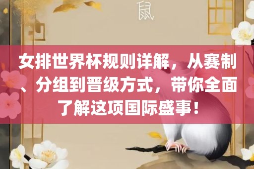 女排世界杯规则详解，漯河市盈旭机械设备有限公司从赛制、分组到晋级方式，带你全面了解这项国际盛事！