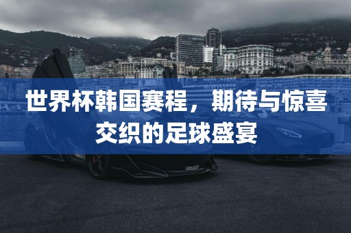 世界杯韩国赛程，期待与惊喜交织的足球盛宴