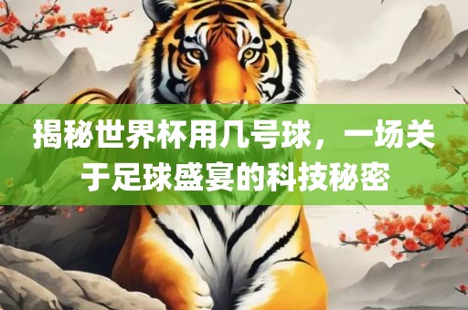 揭秘世界杯用几号球，一场关于足球盛宴的科技秘密