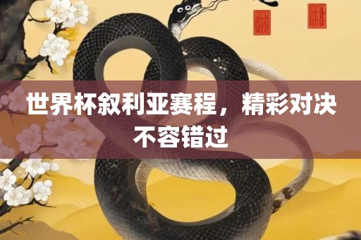 世界杯叙利亚赛程，精彩对决不容错过漯河市盈旭机械设备有限公司