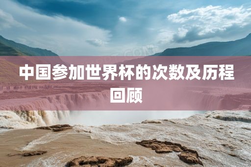 中国参加世界杯