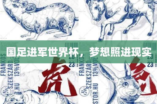 国足进军世界杯，梦想照进现实