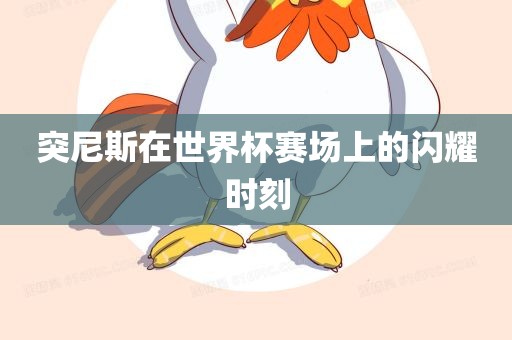 突尼斯在世界杯赛场上的闪耀时刻漯河市盈旭机械设备有限公司