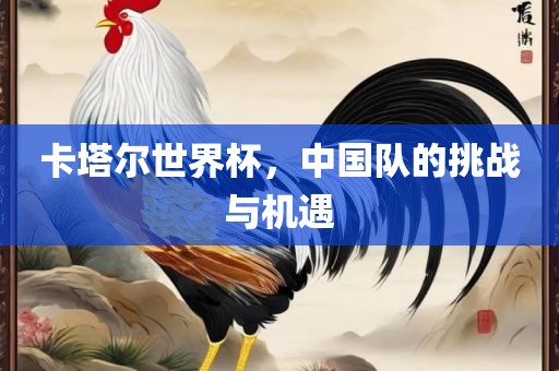 卡塔尔世界杯，中国队的挑战与机遇