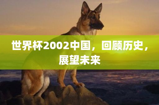世界杯2002中国，回顾历史，展望未来漯河市盈旭机械设备有限公司