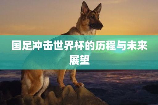 国足冲击世界杯的历程与未来展望漯河市盈旭机械设备有限公司