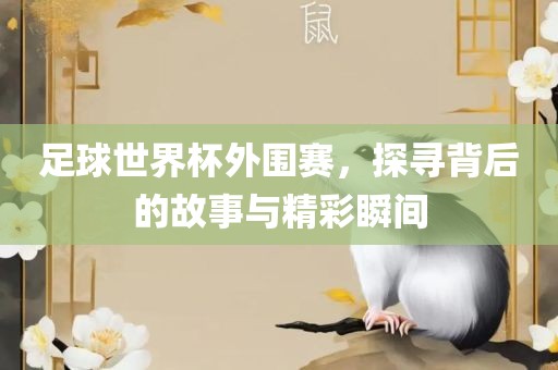 足球世界杯外围赛，探寻背后的故事与精彩瞬间