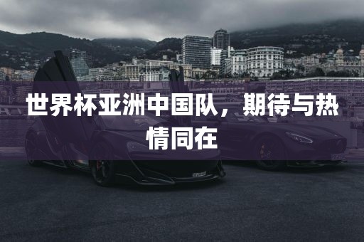 世界杯亚洲中国队，期待与热情同在漯河市盈旭机械设备有限公司