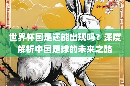 世界杯国足还能出现吗？深度解析中国足球的未来之路