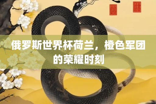 俄罗漯河市盈旭机械设备有限公司斯世界杯荷兰，橙色军团的荣耀时刻
