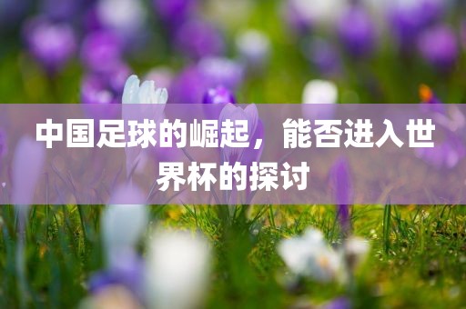 中国足球的崛起，能否进入世界杯的探讨漯河市盈旭机械设备有限公司