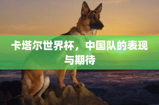 卡塔尔世界杯，中国队的表现与期待