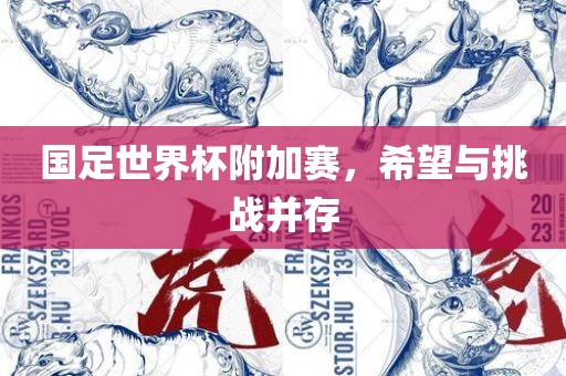 国足世界杯附加赛，希望与挑战并存