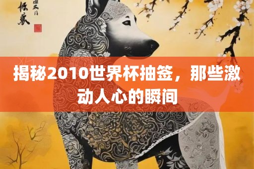 揭秘2010世界杯抽签，那些激动人心的瞬间