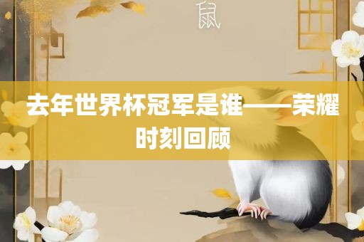 去年世界杯冠军是谁——荣耀时刻回顾