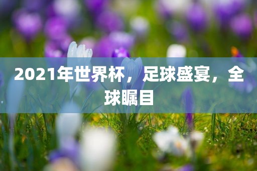 2021年世界杯，足球盛宴，全球瞩目