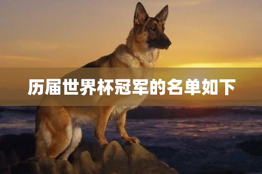 历届世界杯冠军的名单如下