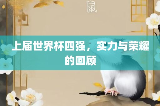 上届世界杯四强，实力与荣耀的回顾