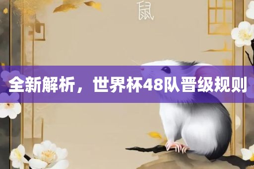 全新解析，世界杯48队晋级规则