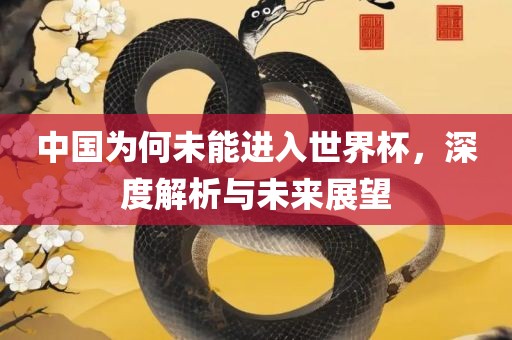 中国为何未能进入世界杯，深度解析与未来展望