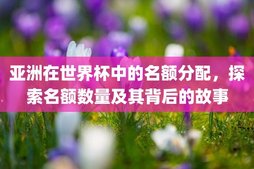 亚洲在世界杯中的名额分配，探索名额数量及其背后的故漯河市盈旭机械设备有限公司事