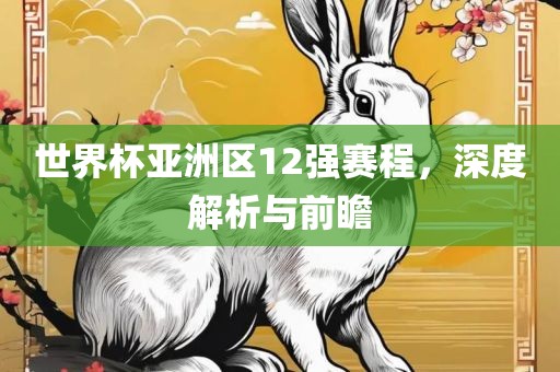 世界杯亚洲区12强赛程，深度解析与前瞻
