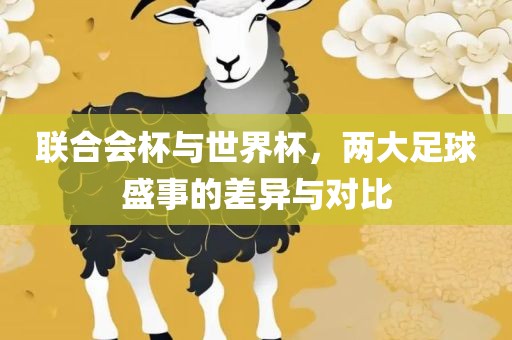 联合会杯与世界杯，两大足球盛事的差异与对比