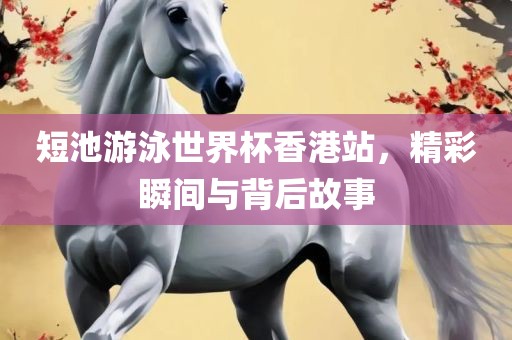 短池游泳世界杯香港站，精彩瞬间与背后故事