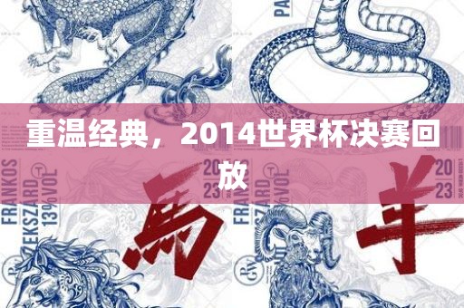 重温经典，2014世界杯决赛回放