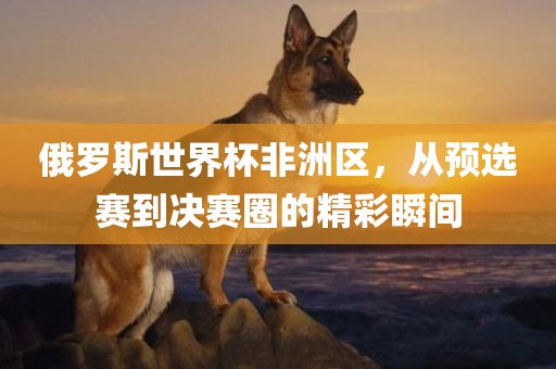 俄罗斯世界杯非洲区，从预选赛到决赛圈的精彩瞬间