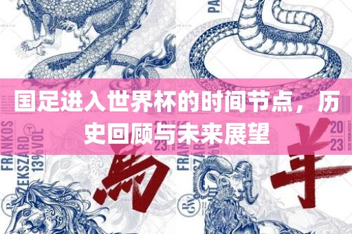 国足进入世界杯的时间节点，历史回顾与未来展望