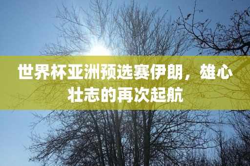 世界杯亚洲预选赛伊朗，雄心壮志的再次起航