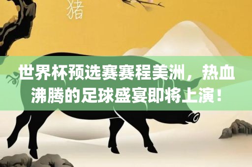 世界杯预选赛赛程美洲，热血沸腾的足球盛宴即将上演！