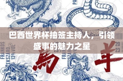 巴西世界杯抽签主持人，引领盛事的魅力之星