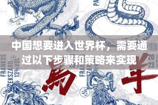 中国想要进入世界杯，需要通过以下步骤和策略来实现