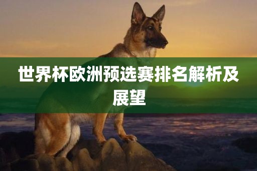 世界杯欧洲预选赛排名解析及展望漯河市盈旭机械设备有限公司