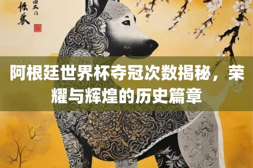 阿根廷世界杯夺冠次数揭秘，荣耀与辉煌的历史篇章
