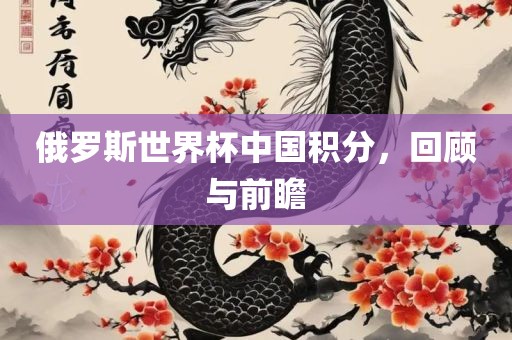 俄罗斯世界杯中国积分，回顾与前瞻