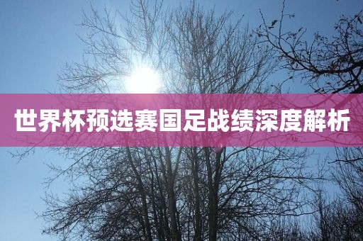 世界杯预选赛国足战绩深度解析