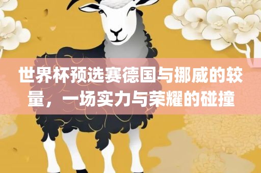 世界杯预选赛德国与挪威的较量，一场实力与荣耀的碰撞