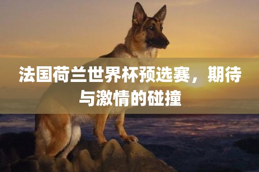 法国荷兰世界杯预选赛，期待与激情的碰撞