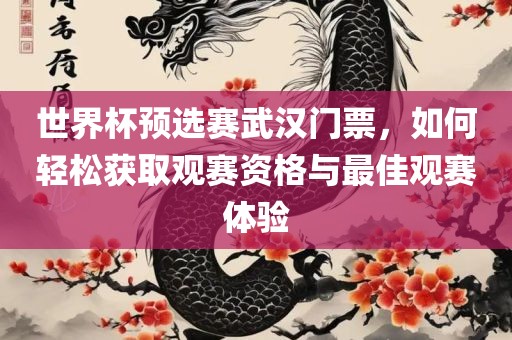 世界杯预选赛武汉门票，如何轻松获取观赛资格与最佳观赛体验