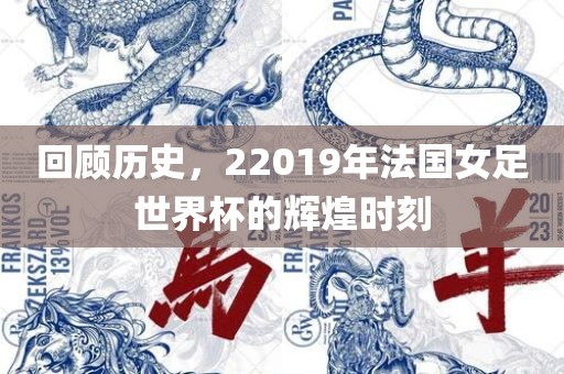 回顾历史，22019年法国女足世界杯的辉煌时刻