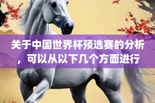 关于中国世界杯预选赛的分析，可以从以下几个方面进行