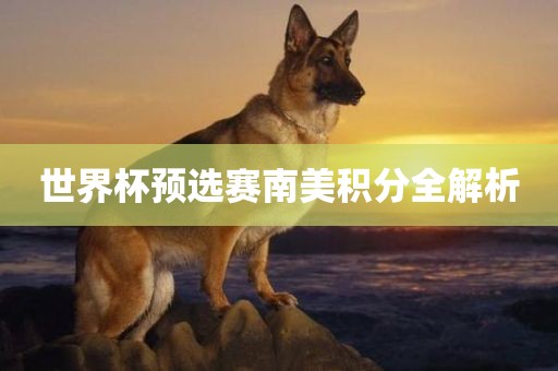 世界杯预选赛南美积分全解析