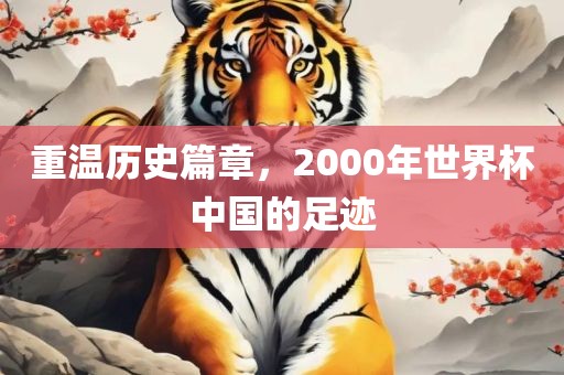 重温历史篇章，2000年世界杯中国的足迹