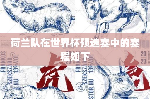 荷兰队在世界杯预选赛中的赛程如下