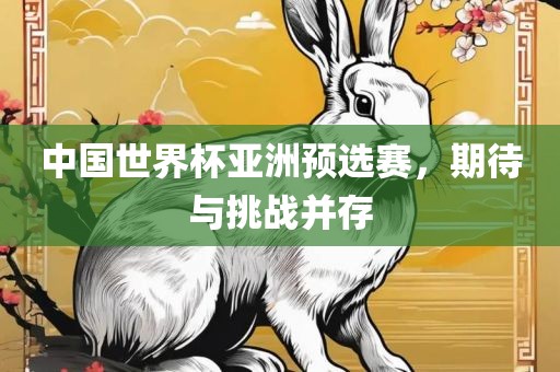 中国世界杯亚洲预选赛，期待与挑战并存