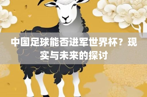 中国足球能否进军世界杯？现实与未来的探讨